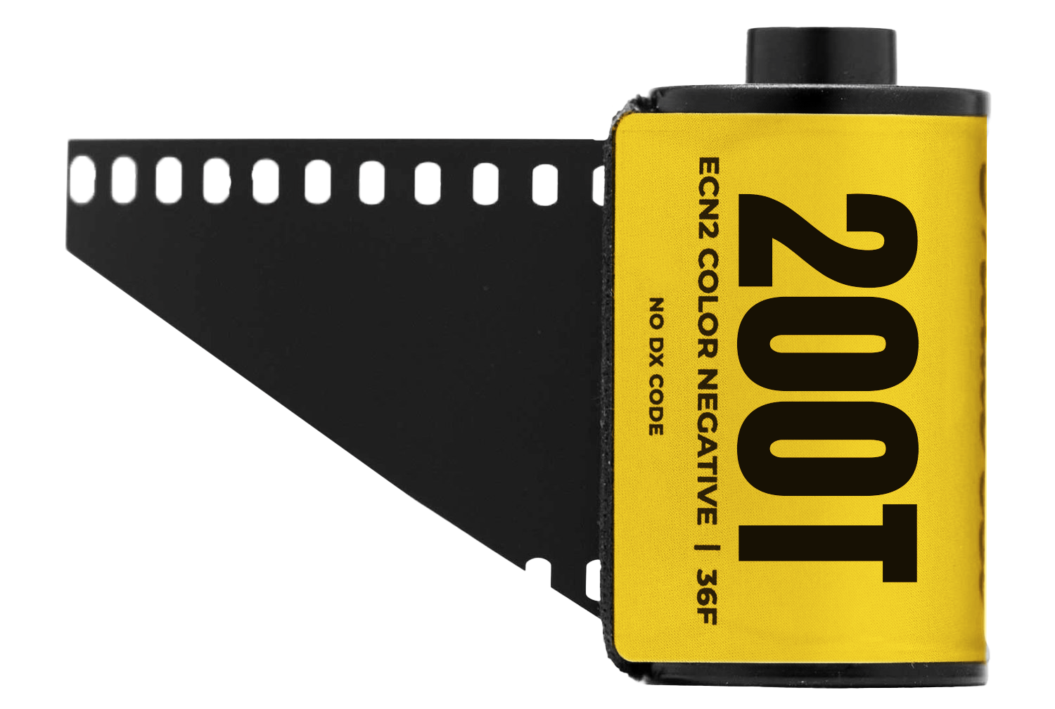 200 Tungsten (5213) – Charleston Film Lab 200 Tungsten (5213) – Charleston Film Lab