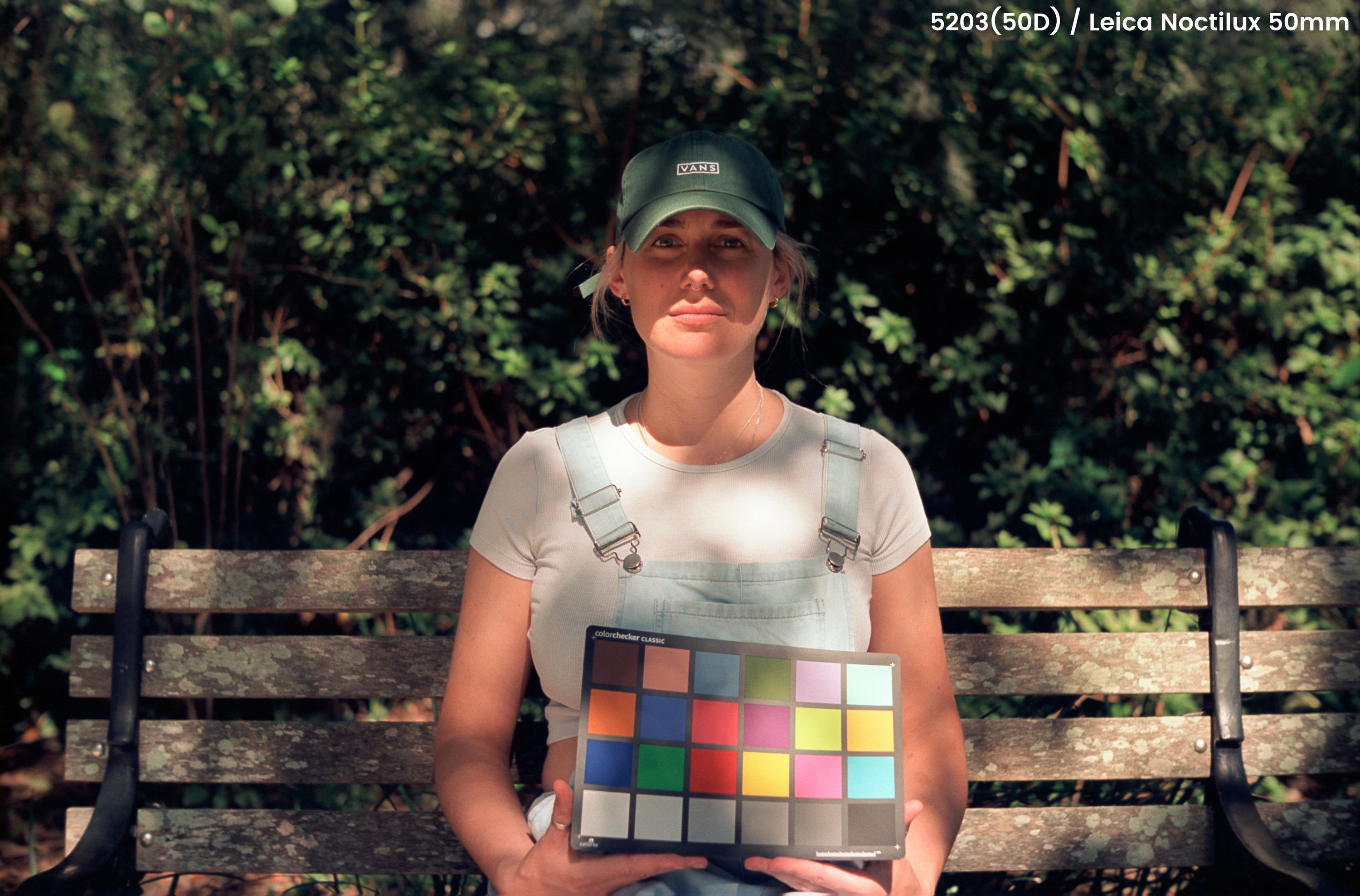 50 Daylight (5203)